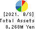 Chugai Mining Co.,Ltd. Balance Sheet 2021年Mar期 Chugai Mining Co.,Ltd. Balance Sheet 2021年3月期