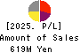 Def consulting,inc. Profit and Loss Account 2025年Mar期 Def consulting,inc. Profit and Loss Account 2025年3月期