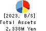 HOPE,INC. Balance Sheet 2023年3月期