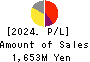 Institute for Q-shu Pioneers of Space Profit and Loss Account 2024年5月期