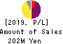 tella,Inc. Profit and Loss Account 2019年Dec期 tella,Inc. Profit and Loss Account 2019年12月期