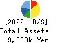 Chugai Mining Co.,Ltd. Balance Sheet 2022年Mar期 Chugai Mining Co.,Ltd. Balance Sheet 2022年3月期