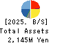 HOPE,INC. Balance Sheet 2025年3月期