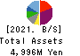 Polaris Holdings Co., Ltd. Balance Sheet 2021年Mar期 Polaris Holdings Co., Ltd. Balance Sheet 2021年3月期