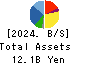 Chugai Mining Co.,Ltd. Balance Sheet 2024年Mar期 Chugai Mining Co.,Ltd. Balance Sheet 2024年3月期