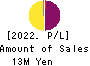 Cuorips Inc. Profit and Loss Account 2022年Mar期 Cuorips Inc. Profit and Loss Account 2022年3月期