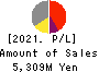 Wealth Management, Inc. Profit and Loss Account 2021年3月期