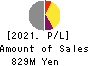 UNBANKED,INC. Profit and Loss Account 2021年Mar期 UNBANKED,INC. Profit and Loss Account 2021年3月期