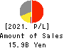 Renewable Japan Co.,Ltd. Profit and Loss Account 2021年12月期