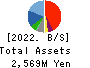 ANAP HOLDINGS INC. Balance Sheet 2022年8月期