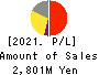 Solvvy Inc. Profit and Loss Account 2021年6月期