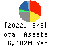 Showa Holdings Co.,Ltd. Balance Sheet 2022年3月期