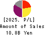 SUNCORPORATION Profit and Loss Account 2025年Mar期 SUNCORPORATION Profit and Loss Account 2025年3月期