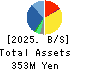 Vector HOLDINGS Inc. Balance Sheet 2025年Mar期 Vector HOLDINGS Inc. Balance Sheet 2025年3月期