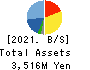 COVER Corporation Balance Sheet 2021年Mar期 COVER Corporation Balance Sheet 2021年3月期