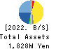 Environment Friendly Holdings Corp. Balance Sheet 2022年12月期