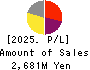 Institute for Q-shu Pioneers of Space Profit and Loss Account 2025年5月期