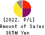 Vector HOLDINGS Inc. Profit and Loss Account 2022年Mar期 Vector HOLDINGS Inc. Profit and Loss Account 2022年3月期