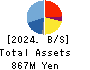 OncoTherapy Science,Inc. Balance Sheet 2024年Mar期 OncoTherapy Science,Inc. Balance Sheet 2024年3月期