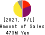 Kitahama Capital Partners Co.,Ltd. Profit and Loss Account 2021年3月期