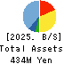 Delta-Fly Pharma,Inc. Balance Sheet 2025年3月期