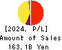 AIFUL CORPORATION Profit and Loss Account 2024年Mar期 AIFUL CORPORATION Profit and Loss Account 2024年3月期