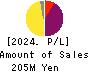 Quantum Solutions Co.,Ltd. Profit and Loss Account 2024年Feb期 Quantum Solutions Co.,Ltd. Profit and Loss Account 2024年2月期