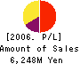 Secured Capital Japan Co.,Ltd. Profit and Loss Account 2006年12月期