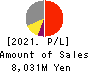 Choei Inc. Profit and Loss Account 2021年Mar期 Choei Inc. Profit and Loss Account 2021年3月期
