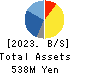 PIXEL COMPANYZ INC. Balance Sheet 2023年Dec期 PIXEL COMPANYZ INC. Balance Sheet 2023年12月期