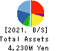 PHYZ Holdings Inc. Balance Sheet 2021年Mar期 PHYZ Holdings Inc. Balance Sheet 2021年3月期