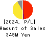RISE Inc. Profit and Loss Account 2024年3月期