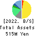 J-Holdings Corp. Balance Sheet 2022年12月期