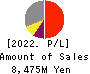 Choei Inc. Profit and Loss Account 2022年Mar期 Choei Inc. Profit and Loss Account 2022年3月期