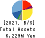 ANYCOLOR Inc. Balance Sheet 2021年Apr期 ANYCOLOR Inc. Balance Sheet 2021年4月期
