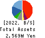 ANAP HOLDINGS INC. Balance Sheet 2022年8月期