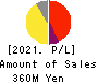 RISE Inc. Profit and Loss Account 2021年3月期