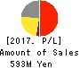 Datasection Inc. Profit and Loss Account 2017年Mar期 Datasection Inc. Profit and Loss Account 2017年3月期