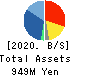 SHINTO Holdings,Inc. Balance Sheet 2020年1月期