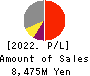 Choei Inc. Profit and Loss Account 2022年3月期