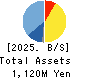 BrightPath Biotherapeutics Co., Ltd. Balance Sheet 2025年Mar期 BrightPath Biotherapeutics Co., Ltd. Balance Sheet 2025年3月期