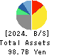 HS Holdings Co., Ltd. Balance Sheet 2024年Mar期 HS Holdings Co., Ltd. Balance Sheet 2024年3月期
