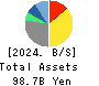 HS Holdings Co., Ltd. Balance Sheet 2024年3月期