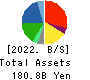 YAMAE GROUP HOLDINGS CO.,LTD. Balance Sheet 2022年Mar期 YAMAE GROUP HOLDINGS CO.,LTD. Balance Sheet 2022年3月期