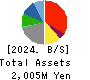 TAYA Co.,Ltd. Balance Sheet 2024年3月期