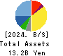 robot home Inc. Balance Sheet 2024年Dec期 robot home Inc. Balance Sheet 2024年12月期