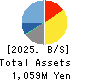 INTRANCE CO.,LTD. Balance Sheet 2025年3月期