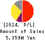 Solvvy Inc. Profit and Loss Account 2024年6月期