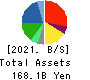 YAMAE GROUP HOLDINGS CO.,LTD. Balance Sheet 2021年Mar期 YAMAE GROUP HOLDINGS CO.,LTD. Balance Sheet 2021年3月期