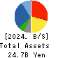 DAISUI CO.,LTD. Balance Sheet 2024年3月期
